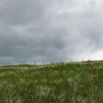 IMG_0757-p